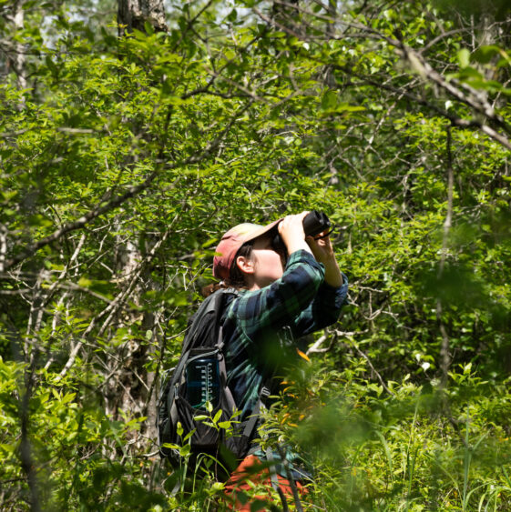 Taylor Creaser, CPAWS-NS Conservation Campaigner conducting a bird survey near Minmakeak Lake.