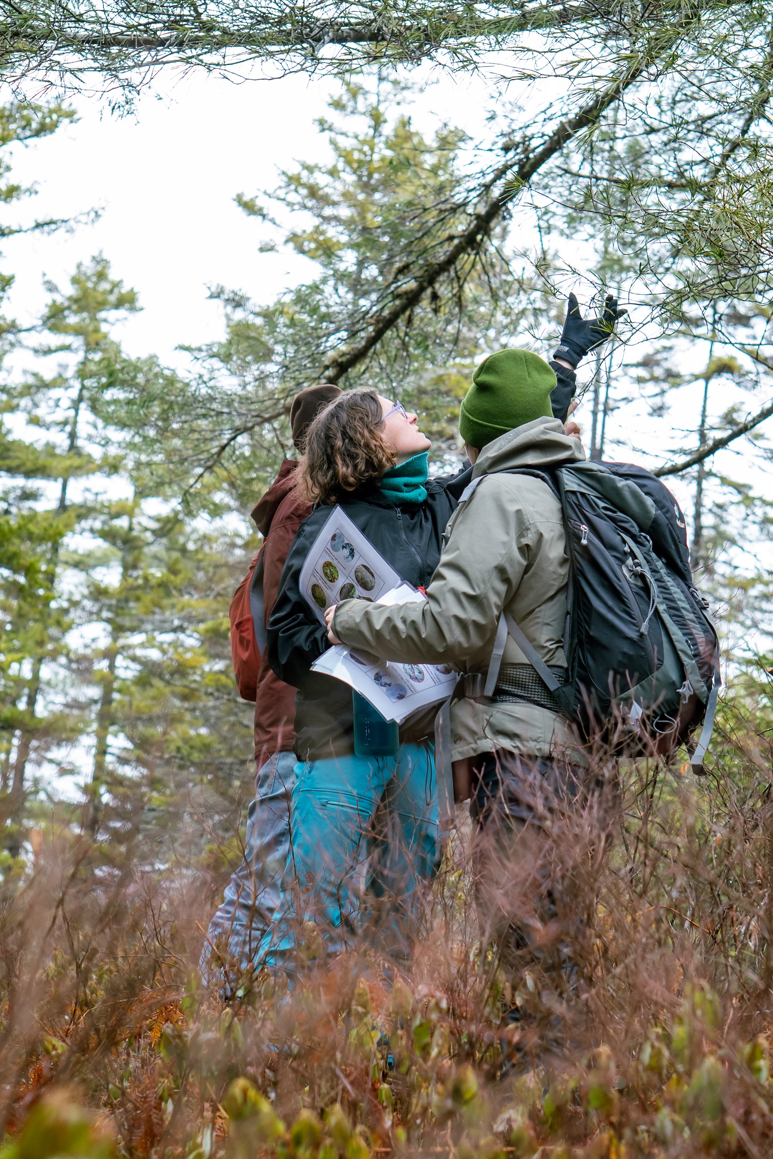 Learning about and better understanding native trees and their characteristics around Minamkeak Lake (March 2026).